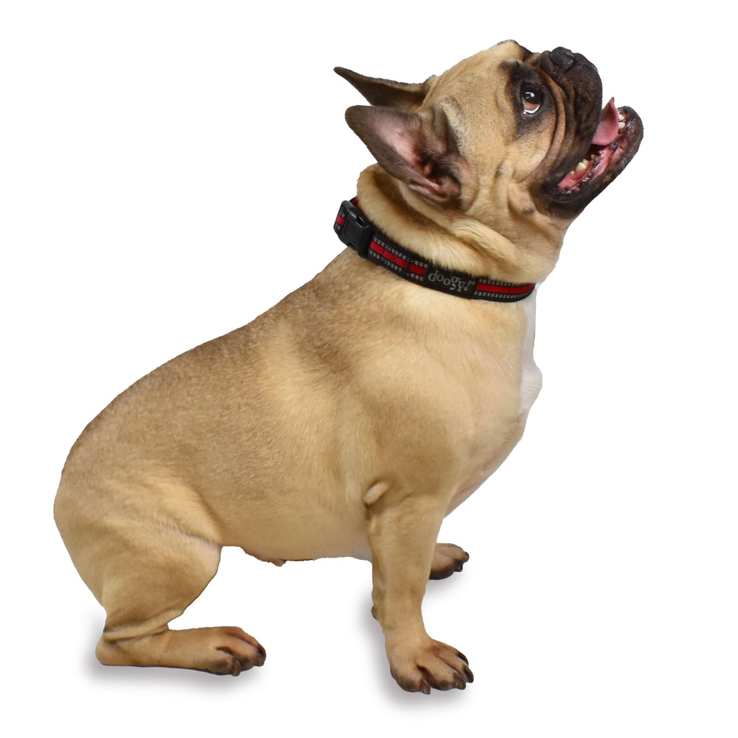 Collier chien rouge Sport Doogy
