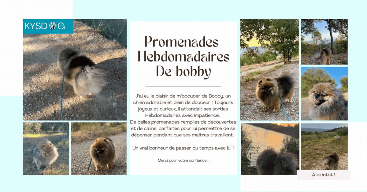 Promenade de Bobby