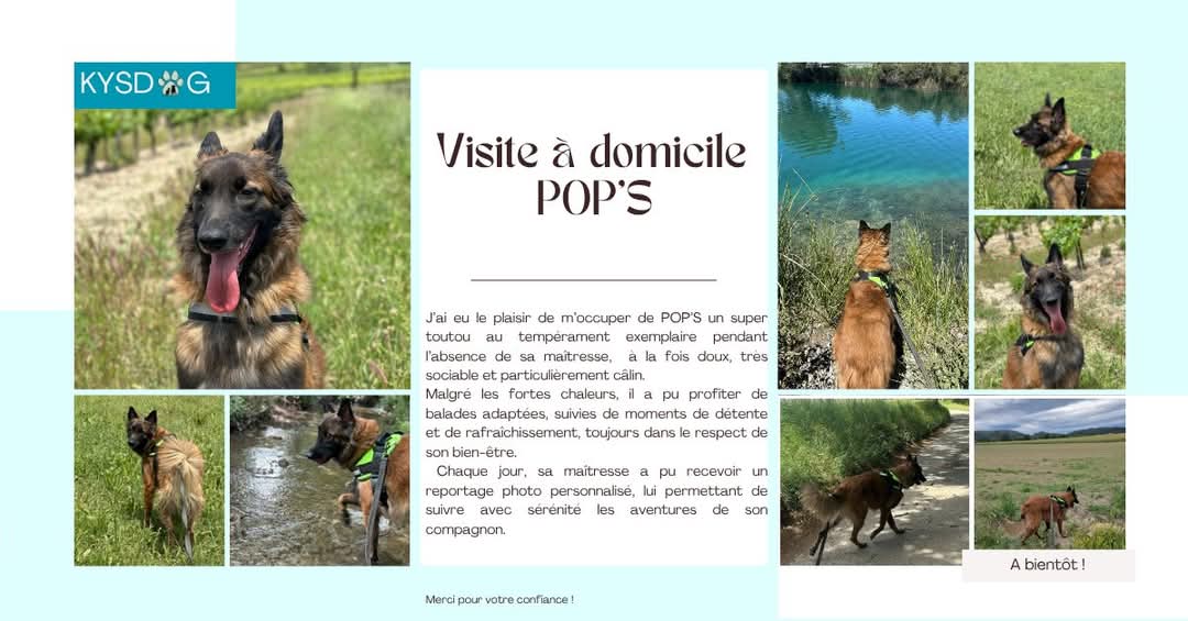Garde pop's