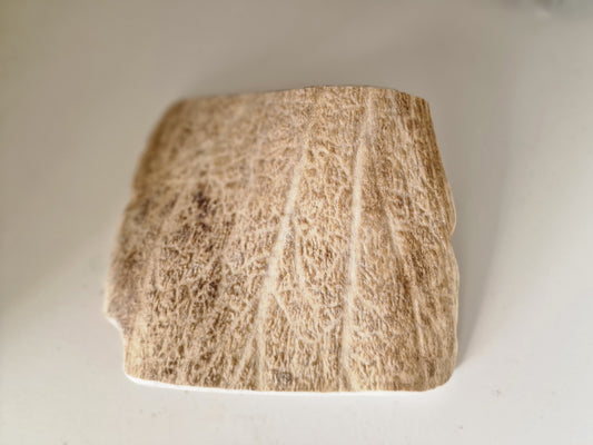 Bois de daim