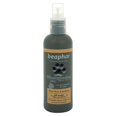 Spray shampooing sec Premium Beaphar : 200 ml