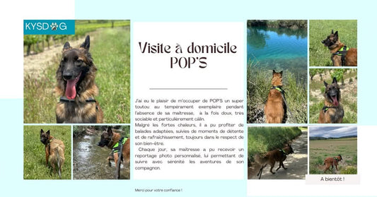 Garde pop's
