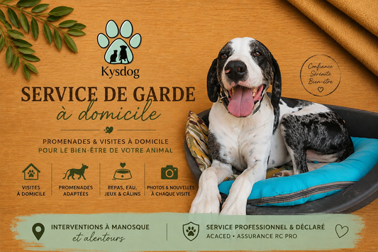 Garde de chien à votre domicile