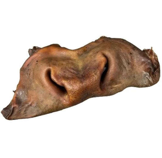 Museau de bœuf sans poils